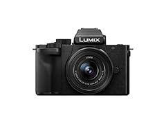 Panasonic lumix g100 for sale  Delivered anywhere in USA 