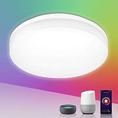Lepro lampada soffitto usato  Spedito ovunque in Italia 