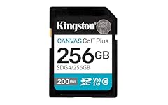Kingston canvas plus usato  Spedito ovunque in Italia 