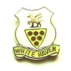 White haven enamel for sale  Delivered anywhere in UK