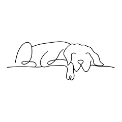 Dexlyn draht hund gebraucht kaufen  Wird an jeden Ort in Deutschland