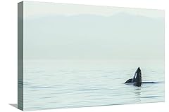 Art.com canvas wall for sale  Delivered anywhere in USA 