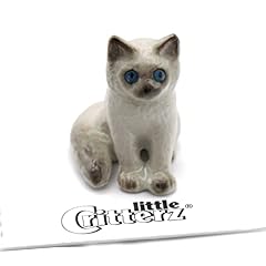 Little critterz kitten for sale  Delivered anywhere in USA 