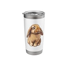 Mini holland lop for sale  Delivered anywhere in USA 