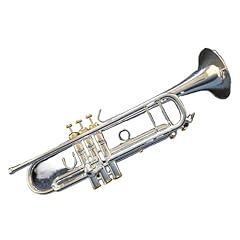 Professionell trompete trompet gebraucht kaufen  Wird an jeden Ort in Deutschland