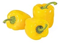 Peperoni gialli 500 usato  Spedito ovunque in Italia 