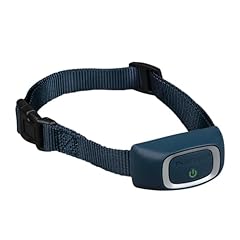 Petsafe collier anti d'occasion  Livré partout en France