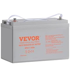 Vevor deep cycle for sale  Delivered anywhere in USA 