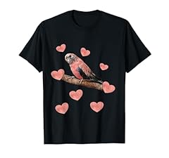 Bourke parakeet love for sale  Delivered anywhere in USA 