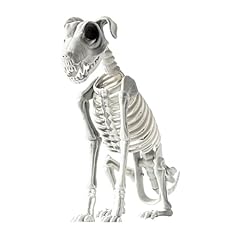 Large skeleton dog for sale  Delivered anywhere in USA 