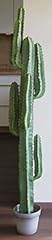 Usato, artplants.de Cactus cereo Artificiale Olivero in Vaso, Verde, 160cm - Pianta grassa Finta/Cactus Finto in Vaso usato  Spedito ovunque in Italia 