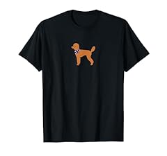 Apricot poodle star for sale  Delivered anywhere in UK