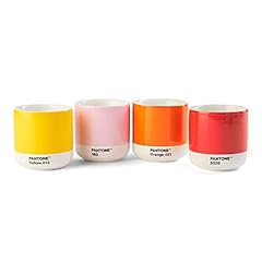 Pantone doppelwandiger porzell gebraucht kaufen  Wird an jeden Ort in Deutschland