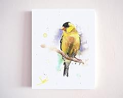 Yellow american goldfinch for sale  Delivered anywhere in USA 