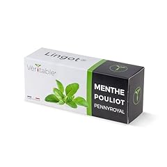 Lingot menthe pouliot d'occasion  Livré partout en France
