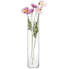 Fixwal tall glass for sale  Delivered anywhere in USA 