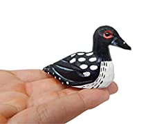 Selsela common loon for sale  Delivered anywhere in USA 