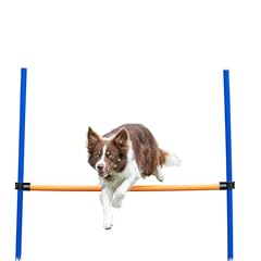 Trixie hunde agility gebraucht kaufen  Wird an jeden Ort in Deutschland