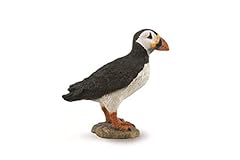Collecta puffin for sale  Delivered anywhere in USA 