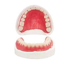 Denture fake teeth for sale  Delivered anywhere in USA 