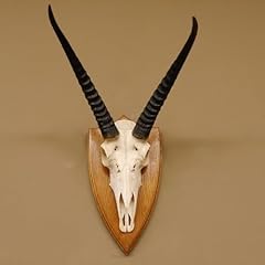 Riedbock große antilope gebraucht kaufen  Wird an jeden Ort in Deutschland