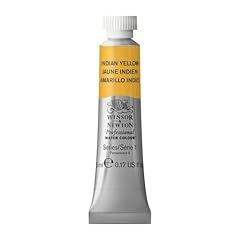 Winsor newton aquarelle d'occasion  Livré partout en France