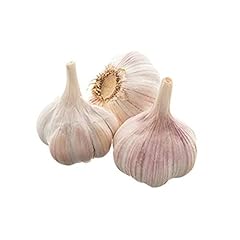 Knoblauch 200 gebraucht kaufen  Wird an jeden Ort in Deutschland