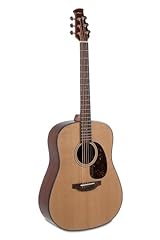 Applause akustikgitarre wood gebraucht kaufen  Wird an jeden Ort in Deutschland