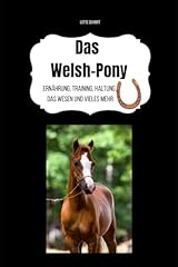 Das welsh pony usato  Spedito ovunque in Italia 