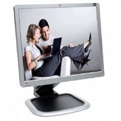 L1950g monitor lcd usato  Spedito ovunque in Italia 