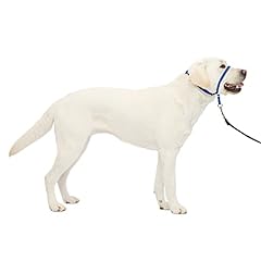 Petsafe gentle leader for sale  Delivered anywhere in USA 