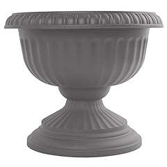Bloem grecian urn for sale  Delivered anywhere in USA 