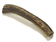 Ace antlers deer for sale  Delivered anywhere in UK
