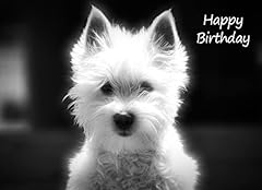 West highland terrier for sale  Delivered anywhere in UK