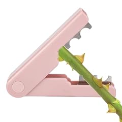 Lasuroa rose thorn for sale  Delivered anywhere in UK