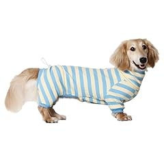 Howlywoof dachshund dog for sale  Delivered anywhere in USA 