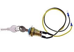 JEENDA Ignition Switch 8N3679C with 2 Keys Compatible for sale  Delivered anywhere in USA 