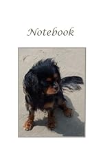 Cute cavalier puppy for sale  Delivered anywhere in USA 