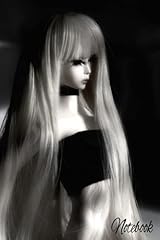 Notebook beautiful dollfie usato  Spedito ovunque in Italia 