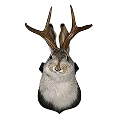 Huihao jackalope wall for sale  Delivered anywhere in UK