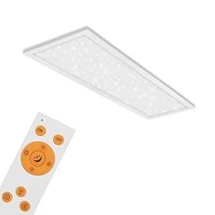 Briloner led deckenlampe gebraucht kaufen  Wird an jeden Ort in Deutschland