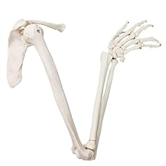 Evotech scientific human for sale  Delivered anywhere in USA 