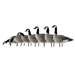 Avian axf lessers for sale  Delivered anywhere in USA 