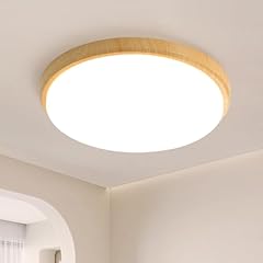 Jdong led deckenleuchte gebraucht kaufen  Wird an jeden Ort in Deutschland