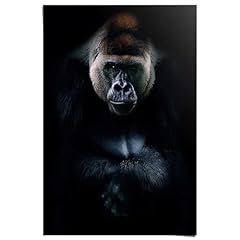 Reinders poster gorilla gebraucht kaufen  Wird an jeden Ort in Deutschland