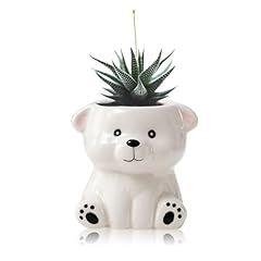 Diyomr cute animals for sale  Delivered anywhere in USA 