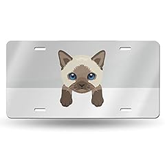 Cute siamese kitty for sale  Delivered anywhere in UK