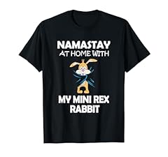Namastay home mini for sale  Delivered anywhere in USA 