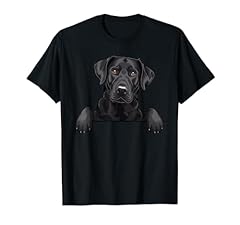 Cute black labrador for sale  Delivered anywhere in UK