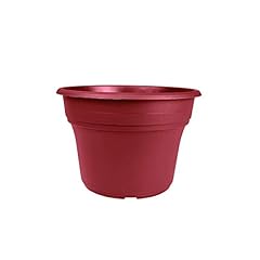 Companies panterra round for sale  Delivered anywhere in USA 